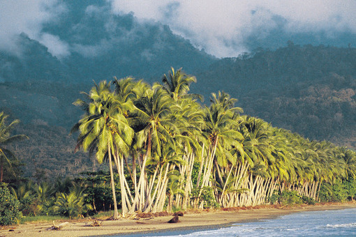 Viajes a Costa Rica | Parque Nacional Cahuita