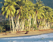 Viajes a Costa Rica | Playa Uvita