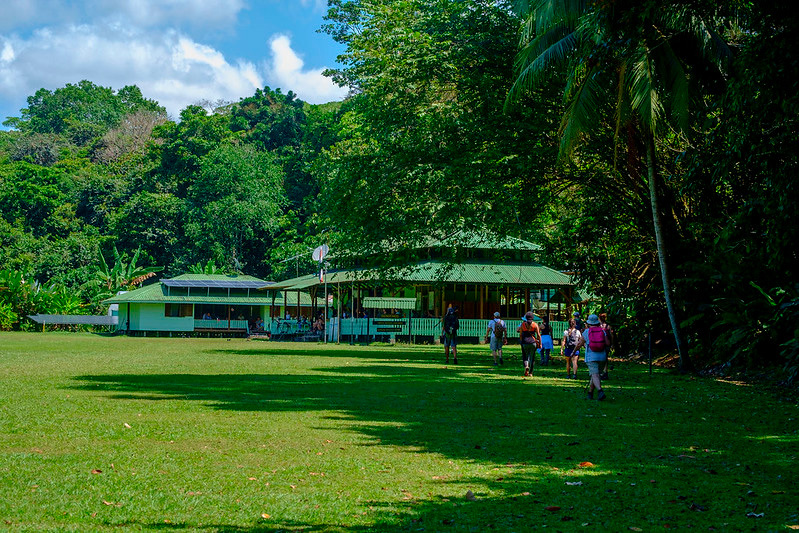 la-sirena-corcovado.jpg