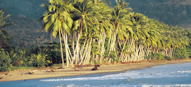 Viajes a Costa Rica | Playa Uvita