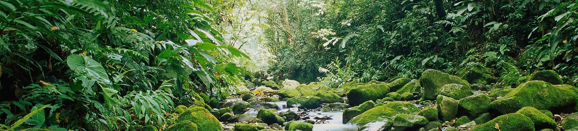 Naturaleza