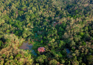 Macaw Lodge - Vista Area (2).jpg