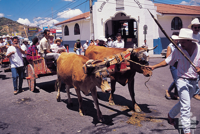 Costa Rica Turismo | Boyeo y carreta