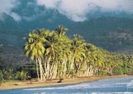 Circuito Costa Rica | Playa Uvita