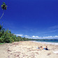 Costa Rica Turismo | Playa Caribe