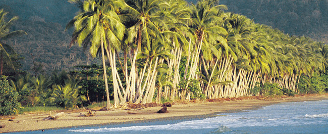 Viajes a Costa Rica | Playa Uvita Viajes a Costa Rica | Playa Uvita