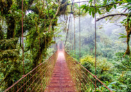 Viaje de Madrid a Costa Rica. Caribe Norte 