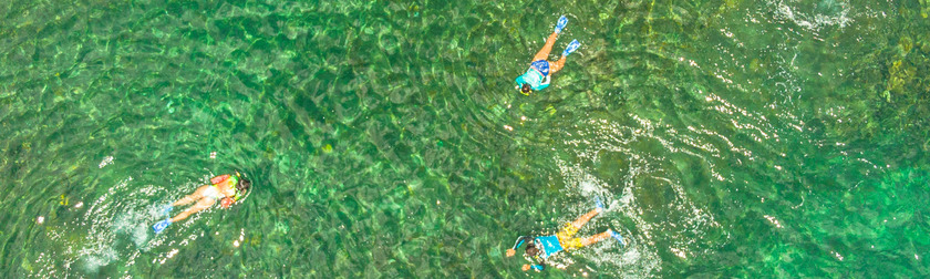 Puerto Viejo - Cahuita - Snorkel - cabecera.jpg