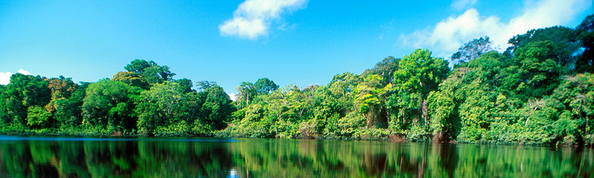 Tortuguero - Canales - cabecera.jpg