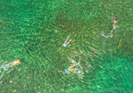 Puerto Viejo - Cahuita - Snorkel - exp.jpg