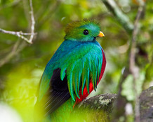 Viajes a Costa Rica | San Gerardo