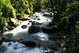 Costa Rica turismo | Naturaleza, San Gerardo