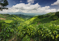 Circuito Costa Rica | Selva de Costa Rica