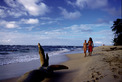 Viajes a Costa Rica | Playa paradisaca