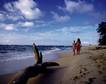 Viajes a Costa Rica | Playa paradisaca