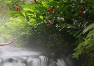Arenal - Meditacio&#769;n Aguas Termales.jpg